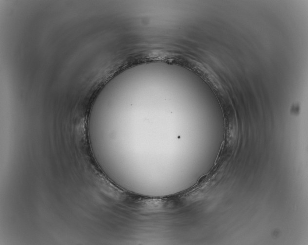 X0000090970473200708161839