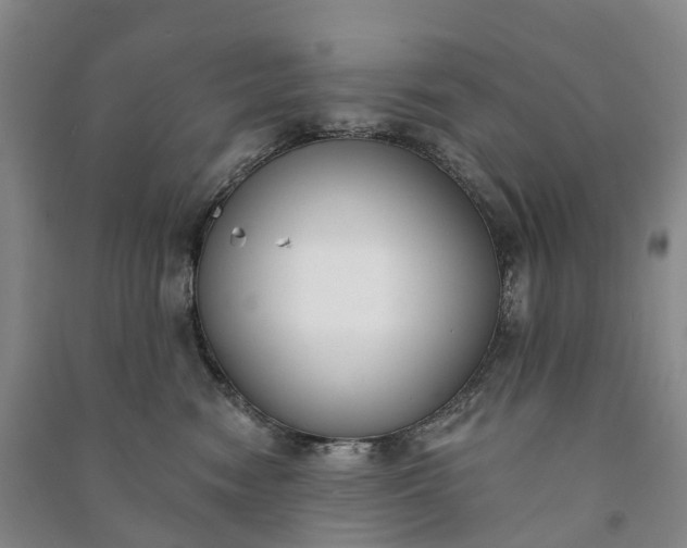 X0000090970474200708161839