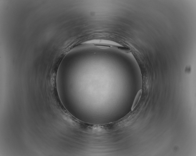 X0000090970475200708161839