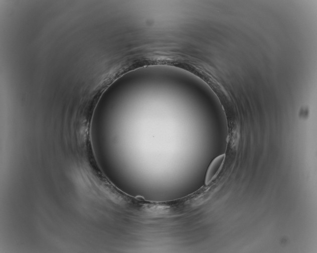 X0000090970476200708161839