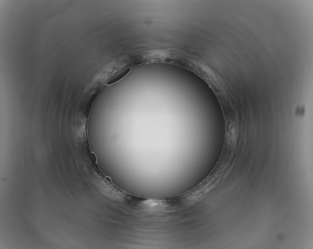 X0000090970477200708161839