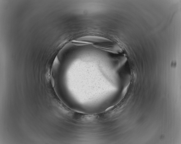 X0000090970479200708161839