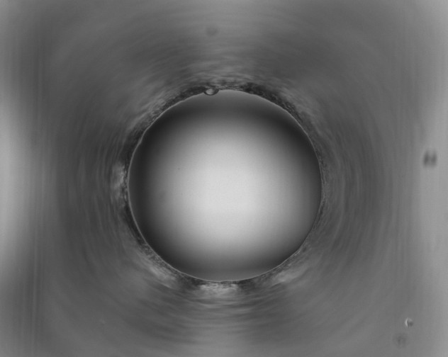 X0000090970480200708161839