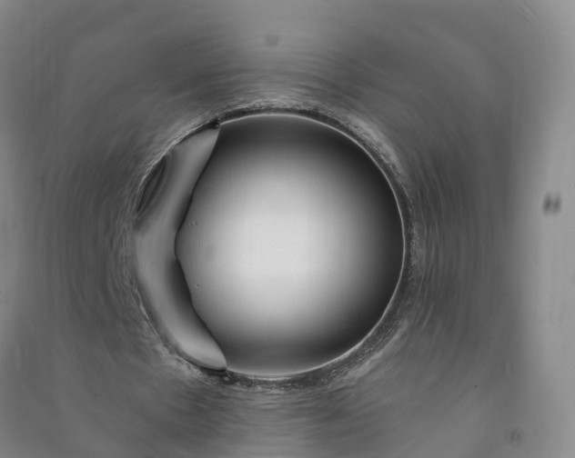 X0000090970481200708161839