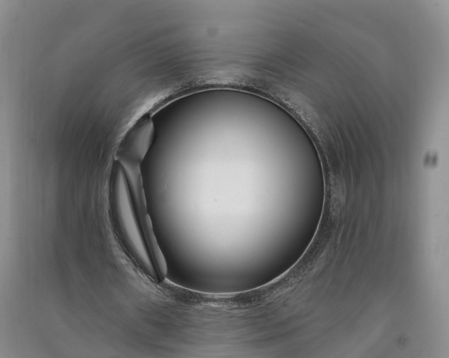 X0000090970482200708161839