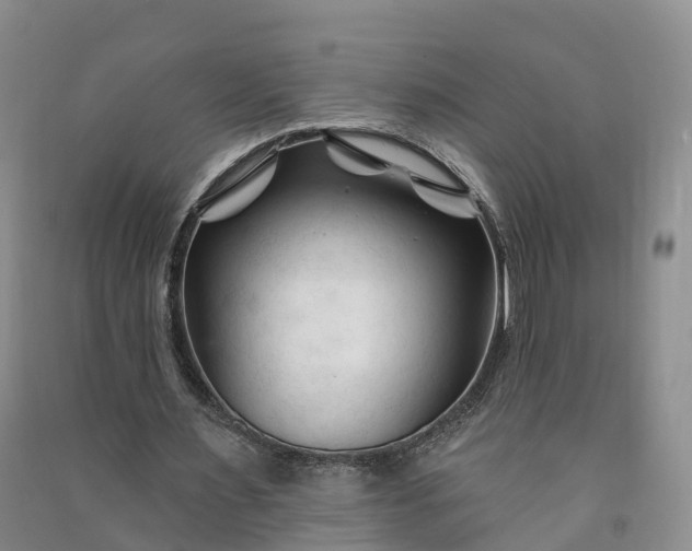 X0000090970483200708161839