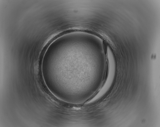 X0000090970484200708161839