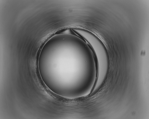 X0000090970485200708161839