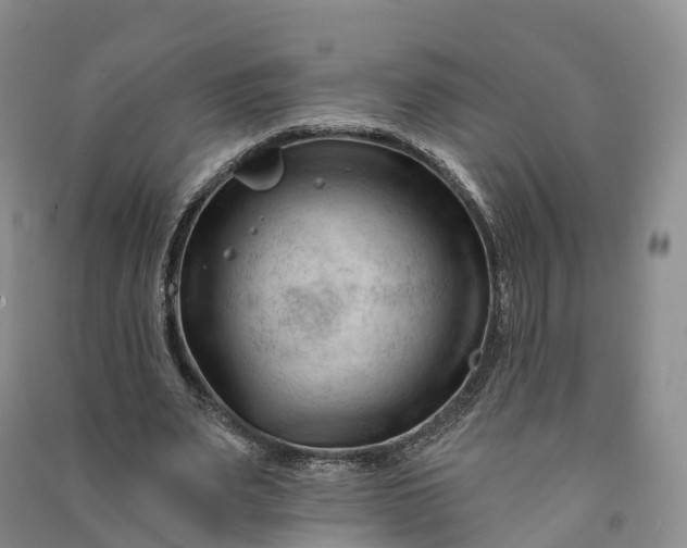 X0000090970487200708161839