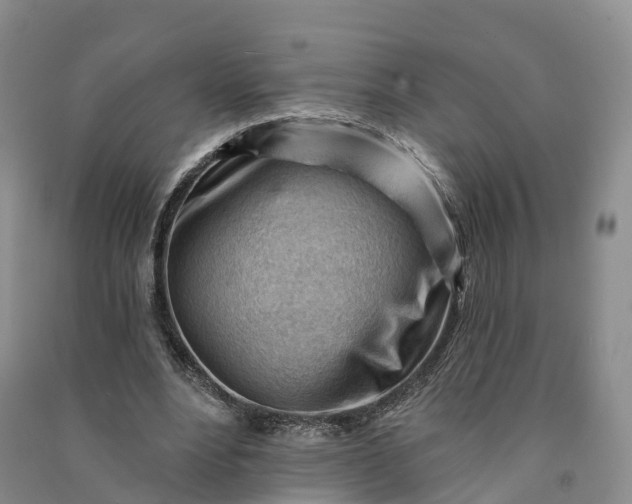 X0000090970488200708161839