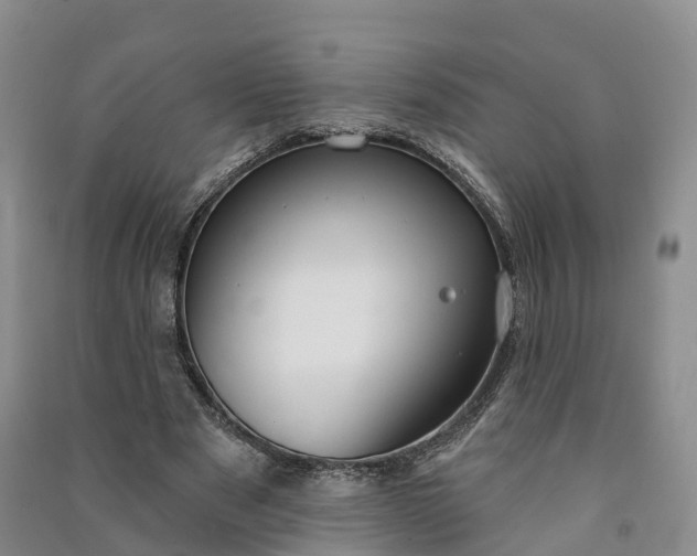 X0000090970489200708161839