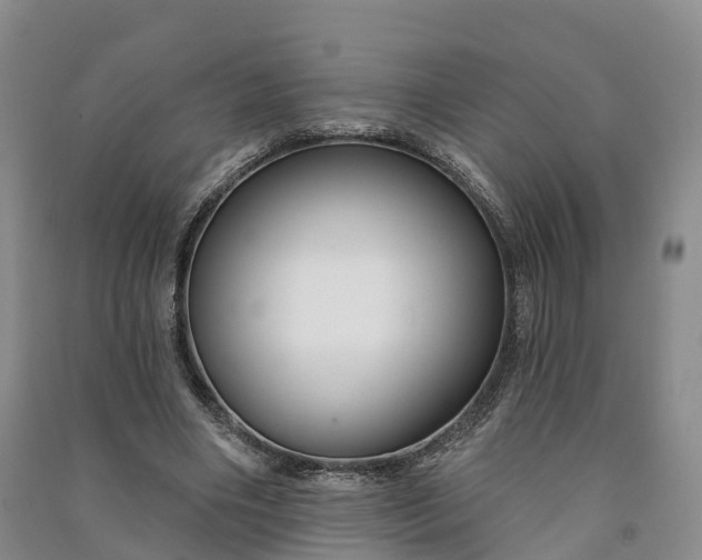 X0000090970490200708161839