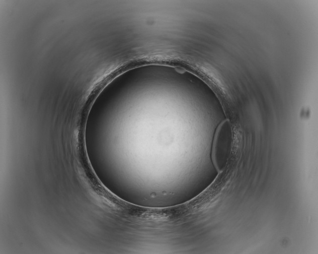 X0000090970491200708161839