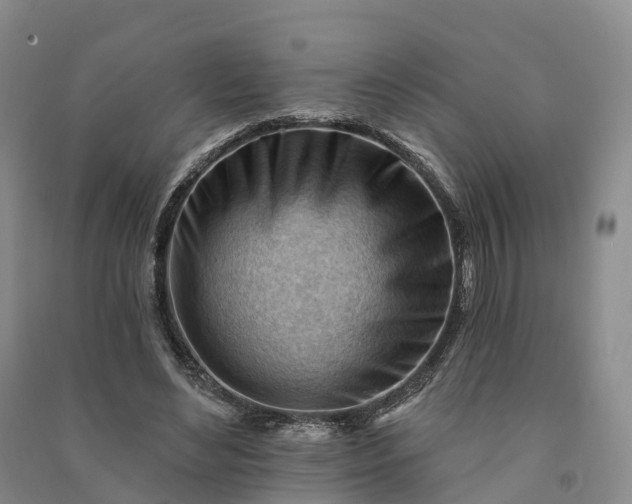 X0000090970492200708161838