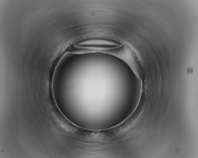 X0000090970493200708161838