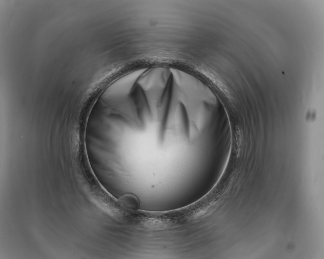 X0000090970494200708161838