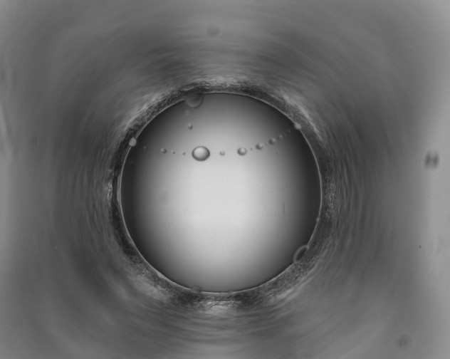 X0000090970495200708161838