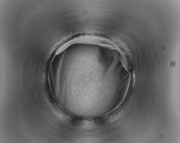 X0000090970496200708161838