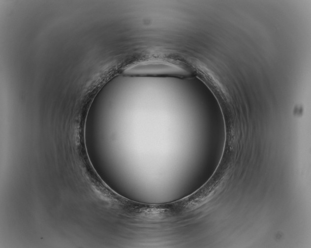 X0000090970497200708161838