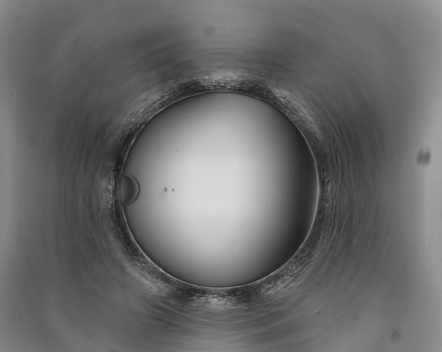 X0000090970498200708161838