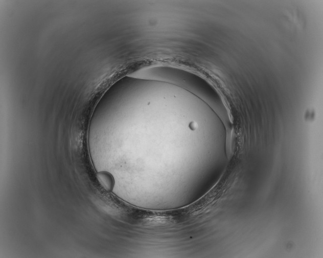 X0000090970499200708161838