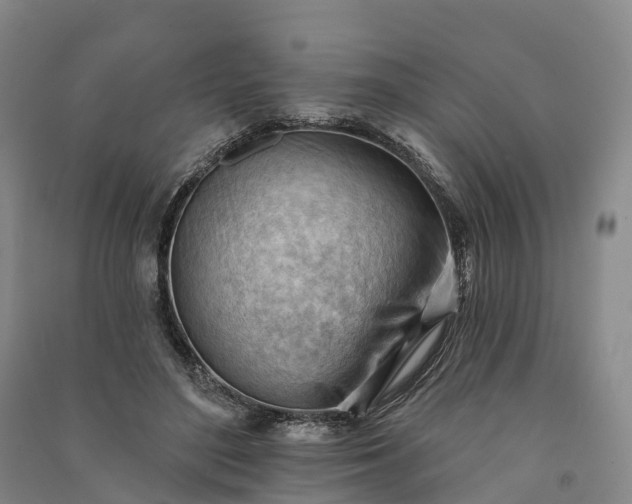 X0000090970500200708161838