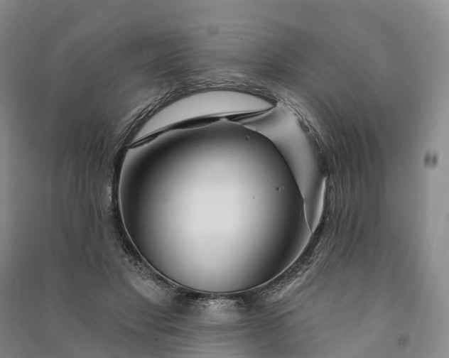 X0000090970501200708161838