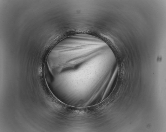 X0000090970502200708161838