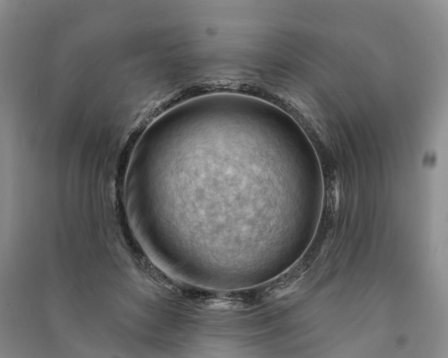 X0000090970504200708161838