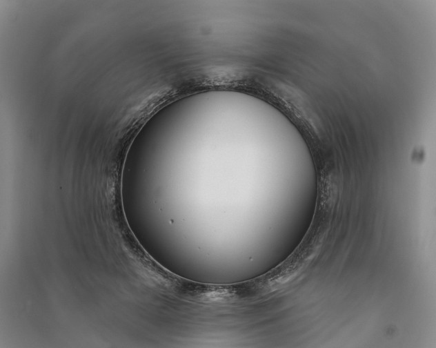 X0000090970505200708161838