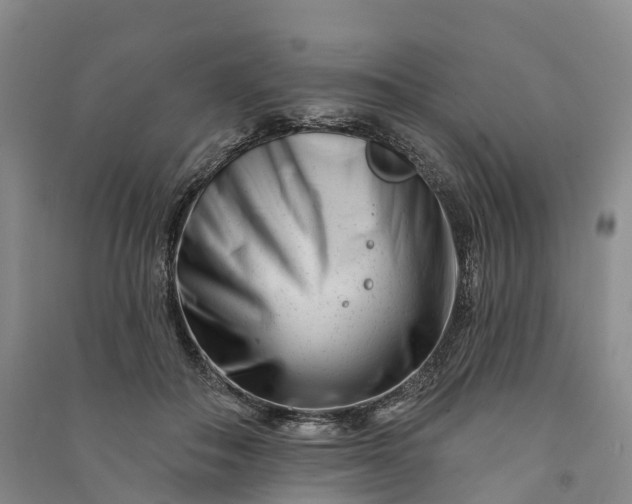 X0000090970506200708161838