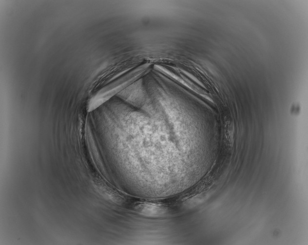 X0000090970507200708161838