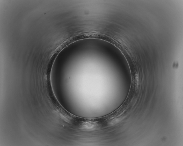 X0000090970508200708161838