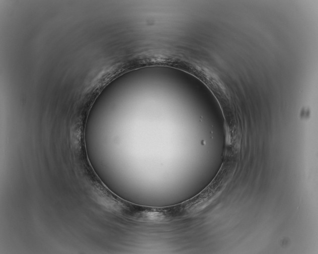 X0000090970509200708161838