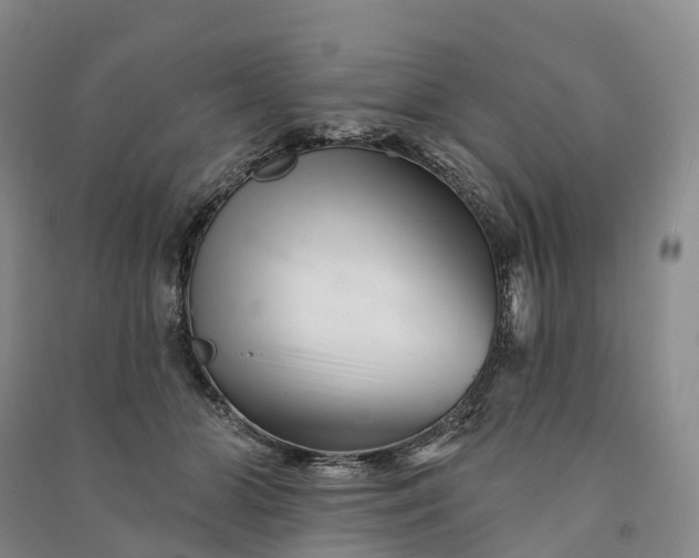 X0000090970510200708161838