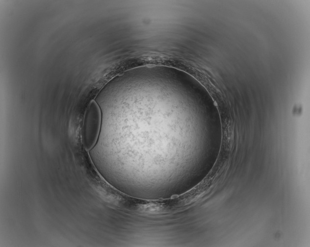 X0000090970511200708161838