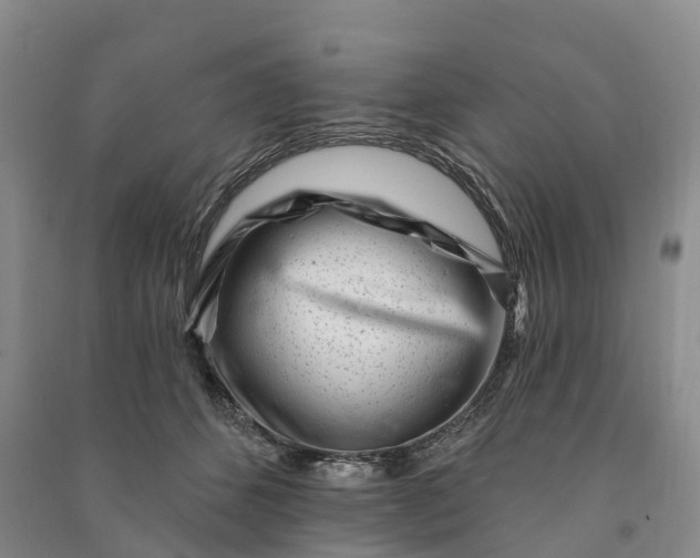 X0000090970512200708161838