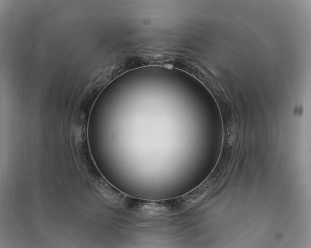 X0000090970515200708161838