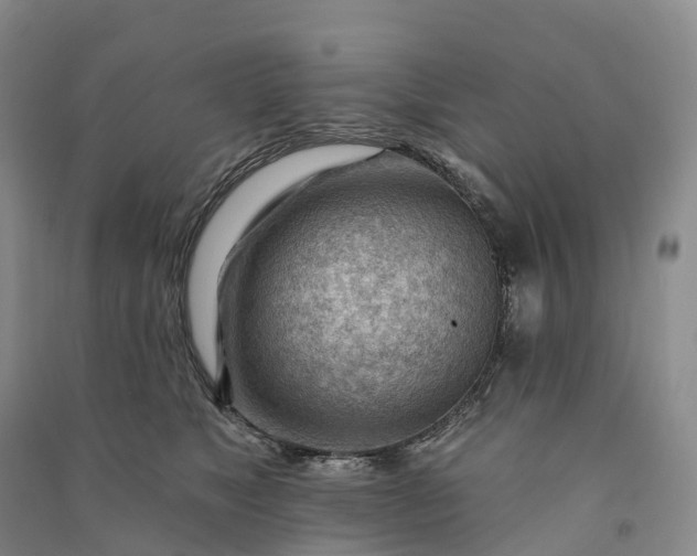 X0000090970517200708161838