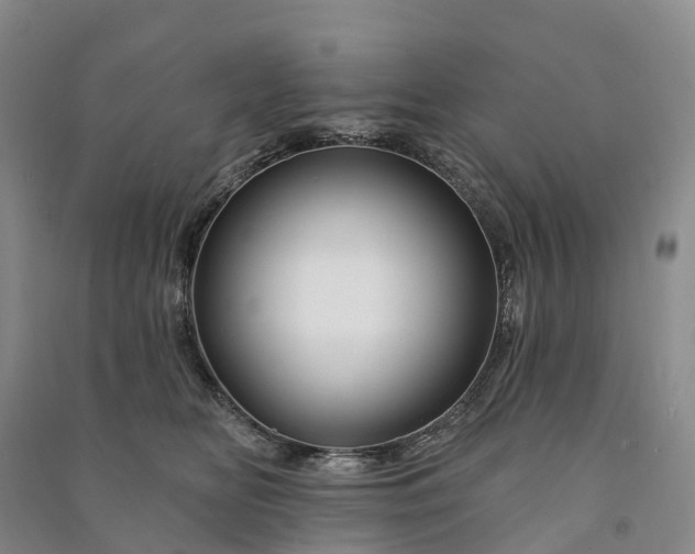 X0000090970518200708161838