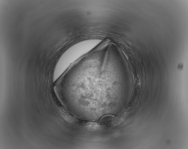 X0000090970519200708161838