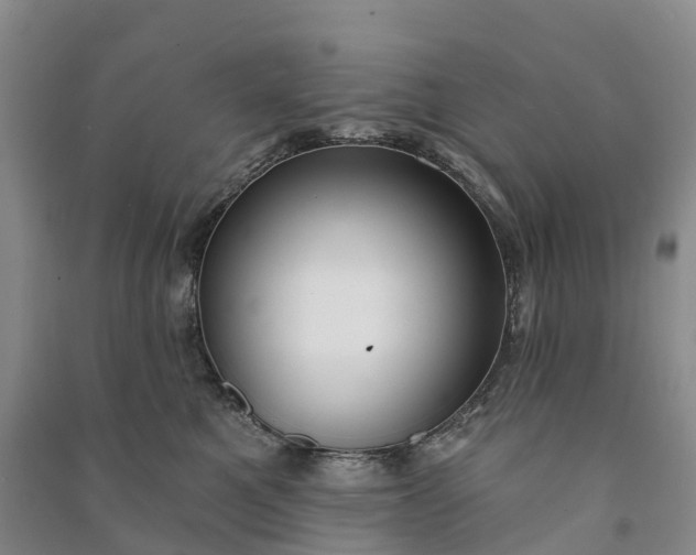 X0000090970521200708161838