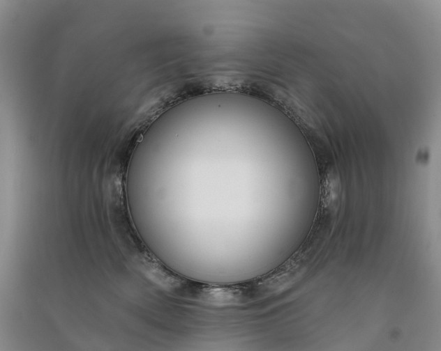 X0000090970522200708161838