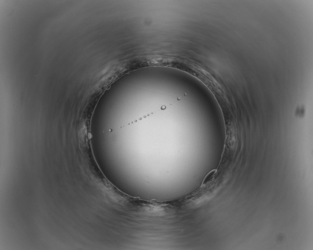 X0000090970523200708161838