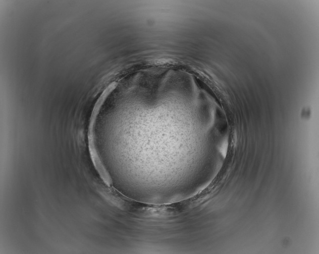 X0000090970524200708161838