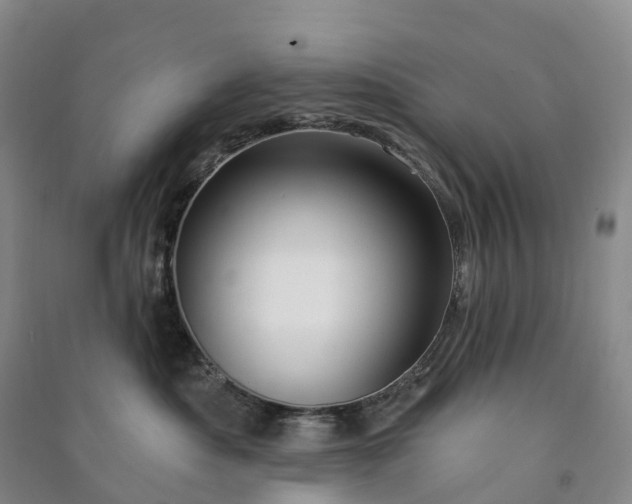 X0000090970525200708161838