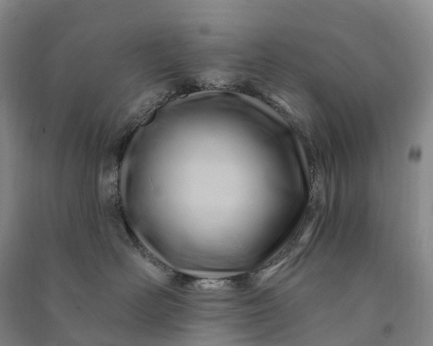 X0000090970526200708161838