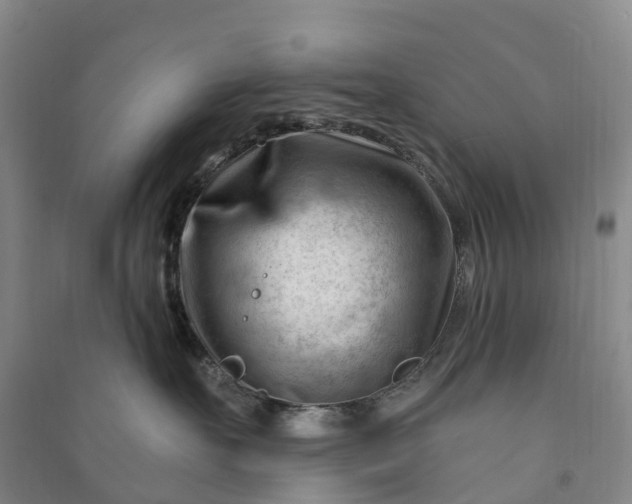 X0000090970527200708161838