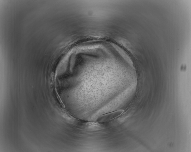 X0000090970528200708161838