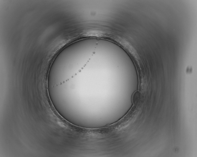 X0000090970529200708161837